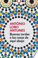 Buenas tardes a las cosas de aquí abajo