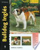 Bulldog Ingles/ Bulldog