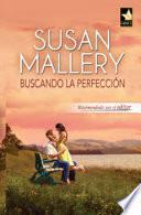 Buscando la perfección