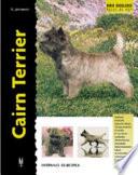 Cairn Terrier