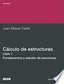 Calculo de Estructuras, Libro 1 Fundamentos y Estudios de Secciones