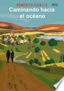 Caminando hacia el océano