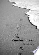 Camino a casa