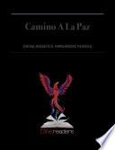 Camino a la paz