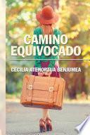 Camino Equivocado