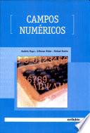 Campos Numéricos.