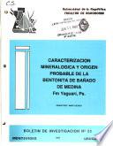 Caracterización mineralógica y origen probable de la bentonita de Bañado de Medina, Fm Yaguarí, Ps