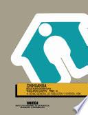 Chihuahua. Resultados definitivos. Tabulados básicos. XI Censo General de Población y Vivienda, 1990. Tomo III