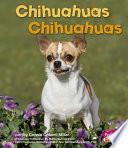 Chihuahuas