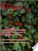 Chile forestal