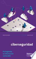 Ciberseguridad