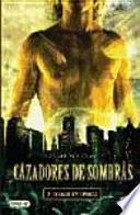 Ciudad de ceniza