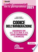 Codice dell'immigrazione