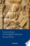 Comentario al evangelio de Juan