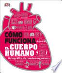 Como Funciona el Cuerpo