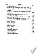 Compendio de anatomia ...