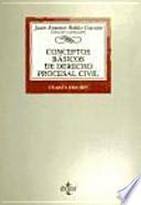 Conceptos básicos de derecho procesal civil