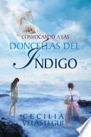 Convocando a las Doncellas del Indigo