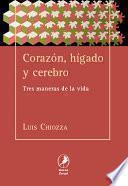 Corazón, hígado y cerebro/ Heart, liver and brain