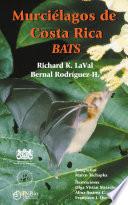 Costa Rica bats