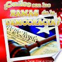 ¿Cuáles son las ramas de la democracia?