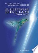 Cuando Un Rayo Alcanza A Un Colibri