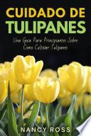 Cuidado de Tulipanes: Una Guia Para Principiantes Sobre Como Cultivar Tulipanes
