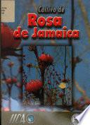 Cultivo de la Rosa de Jamaica Hibiscus Sabdariffa L