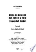 Curso de derecho del trabajo y de la seguridad social: Derecho individual