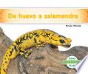 de Huevo a Salamandra (Becoming a Salamander )