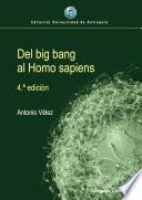 Del big bang al Homo sapiens