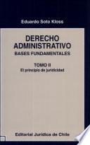 Derecho administrativo : bases fundamentales