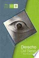 Derecho civil bienes