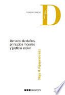 Derecho de daños, principios morales y justicia social