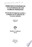 Derechos económicos y culturales de los pueblos indígenas