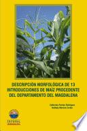 Descripción morfológica de 13 introducciones de maíz procedente del Departamento del Magdalena