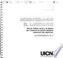 Desenredando el laberinto