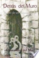 Detrás Del Muro (diario de Un Esquizofrénico