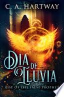 Día de lluvia