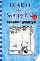Diario Del Wimpy Kid