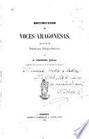 Diccionario de voces aragonesas