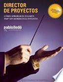 Director de Proyectos