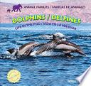 Dolphins: Life in the Pod / Delfines: Vida en la manada