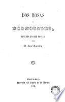 Dos Rosas y dos Rosales
