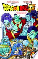 Dragon Ball Super no 17