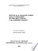 Efectos de la radiación gamma sobre el copolímero del eter metil vinílico y del amídrido maleico