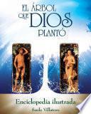 El Arbol que Dios Planto