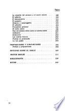 El bable, estructura e historia