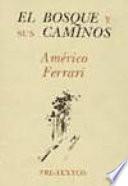 El bosque y sus caminos