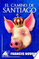 El camino de Santiago